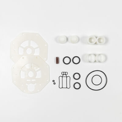 120psi 最大圧 270gpm 最大流量 PTFE 弁 AODDポンプ